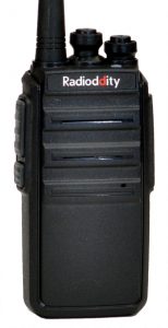 Radioddity GA-2S